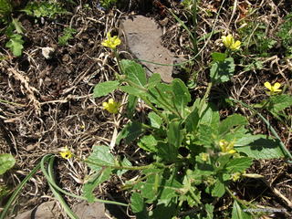 ntana Paradiso-19-04-2022 13-30-06